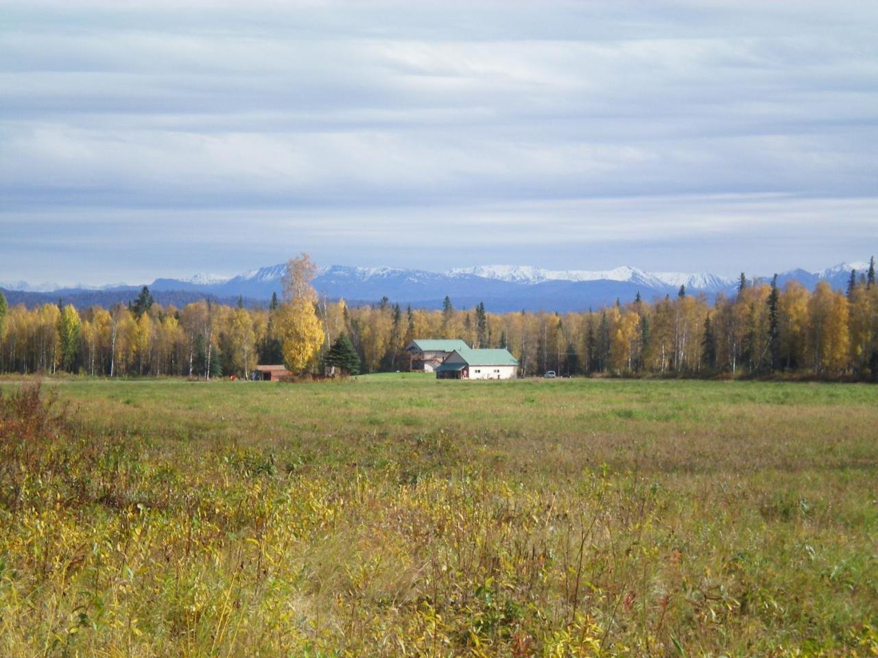 Mckinley View B&B Trapper Creek Luaran gambar